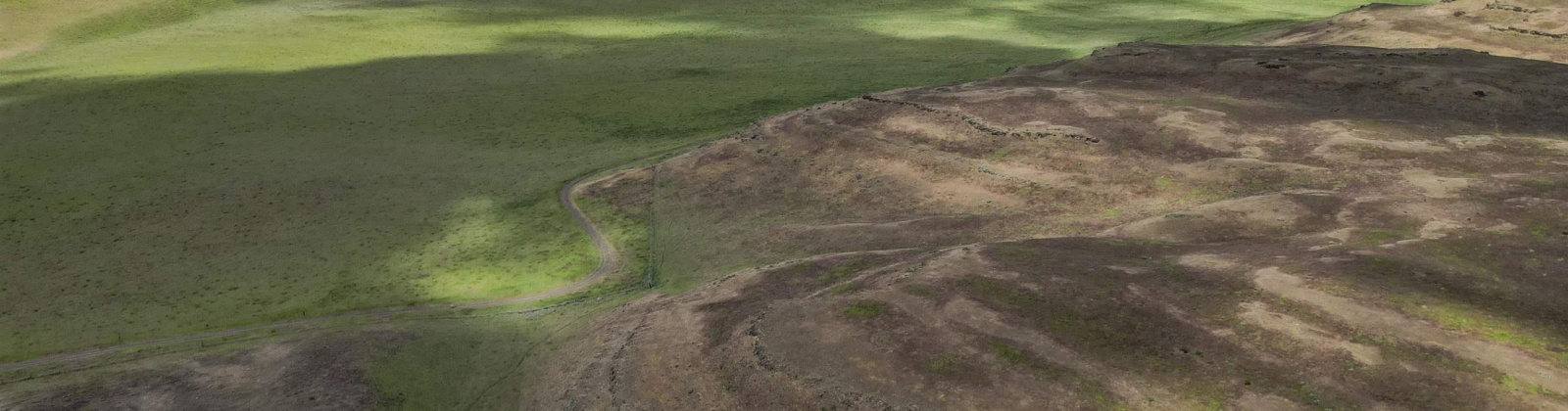 Quinto Rd, Eltopia, Washington 99330, ,Agricultural Land,For Sale,Quinto Rd,284328