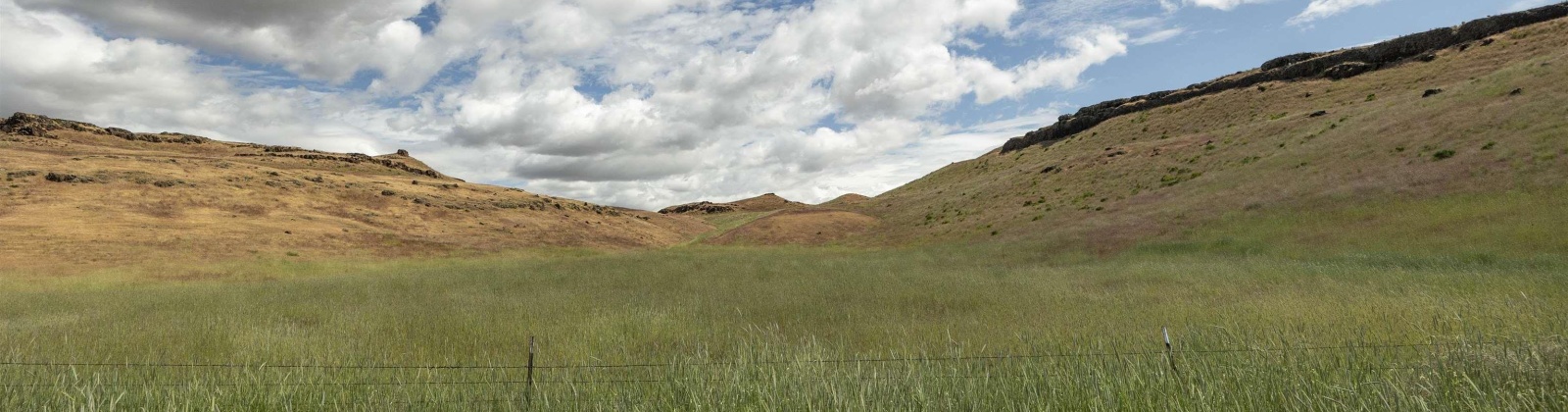 Quinto Rd, Eltopia, Washington 99330, ,Agricultural Land,For Sale,Quinto Rd,284328