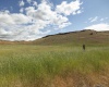 Quinto Rd, Eltopia, Washington 99330, ,Agricultural Land,For Sale,Quinto Rd,284328