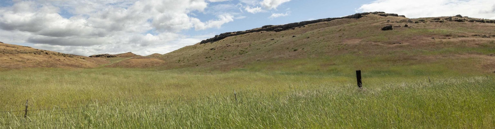 Quinto Rd, Eltopia, Washington 99330, ,Agricultural Land,For Sale,Quinto Rd,284328