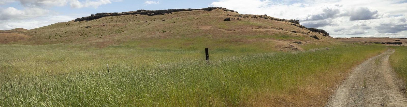 Quinto Rd, Eltopia, Washington 99330, ,Agricultural Land,For Sale,Quinto Rd,284328