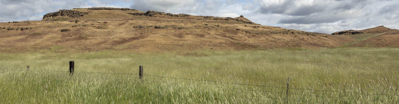 Quinto Rd, Eltopia, Washington 99330, ,Agricultural Land,For Sale,Quinto Rd,284328