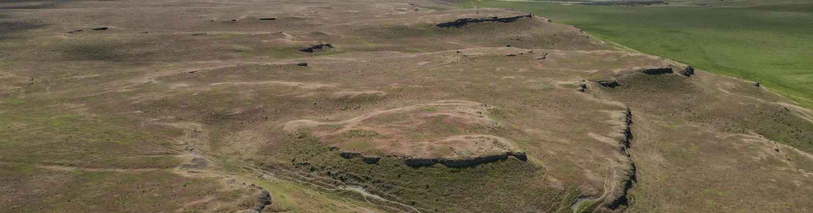 Quinto Rd, Eltopia, Washington 99330, ,Agricultural Land,For Sale,Quinto Rd,284328
