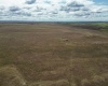 Quinto Rd, Eltopia, Washington 99330, ,Agricultural Land,For Sale,Quinto Rd,284328