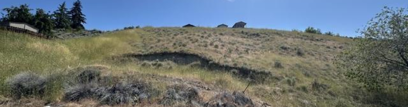 Vine Street, East Wenatchee, Washington 98801, ,Houses,For Sale,Vine Street,284523