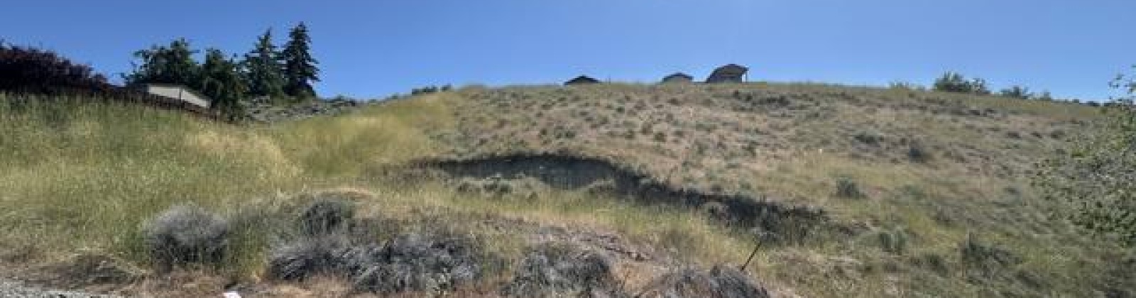 Vine Street, East Wenatchee, Washington 98801, ,Houses,For Sale,Vine Street,284523