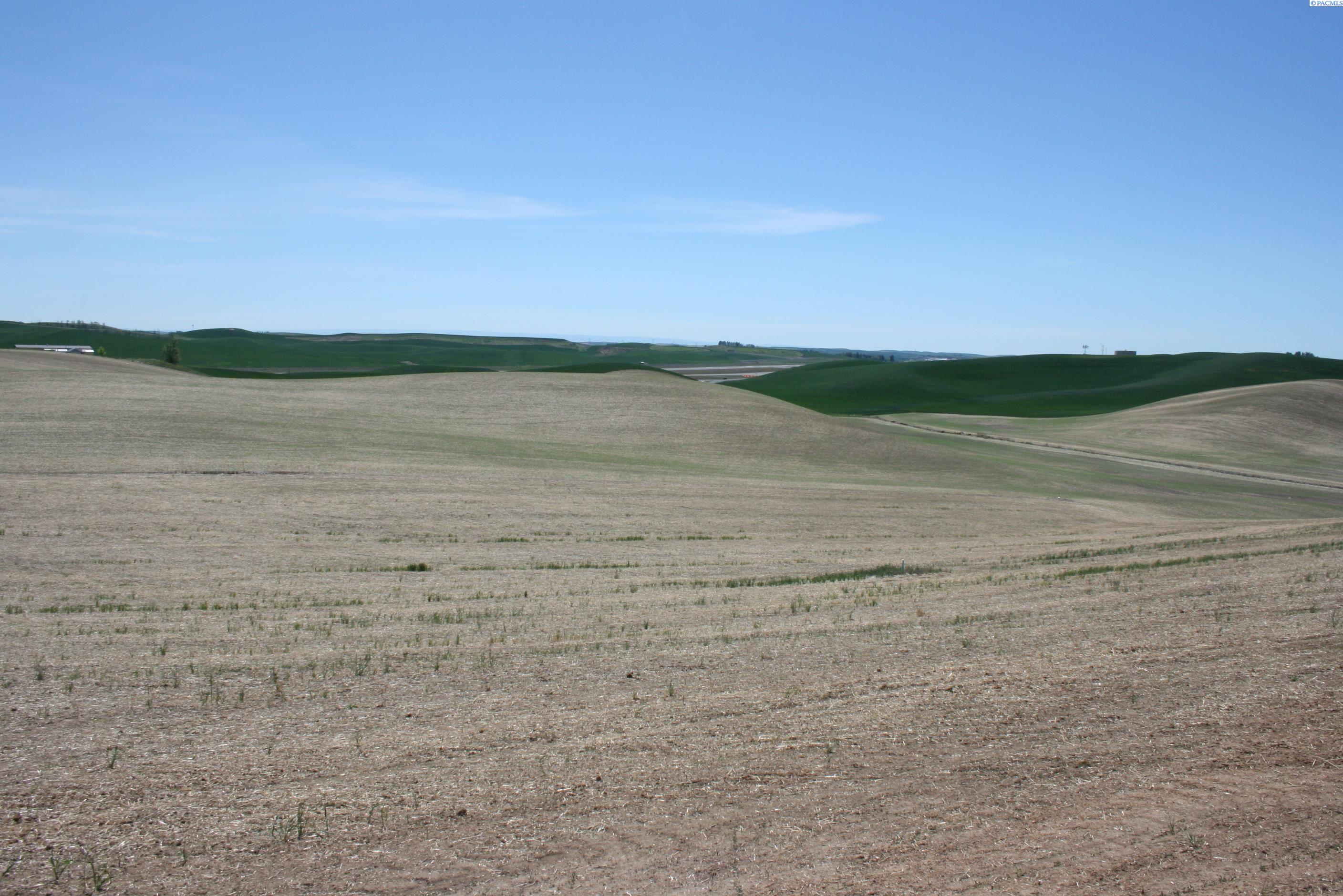 Golden Wheat lane, Pullman, Washington 99163, 0 , 0 ,0,Land/lots,For Sale,Golden Wheat lane,0,284551
