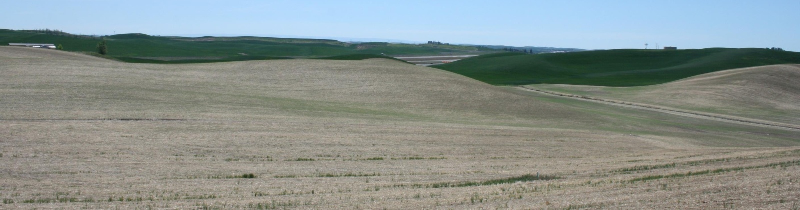 Golden Wheat lane, Pullman, Washington 99163, ,Houses,For Sale,Golden Wheat lane,284551