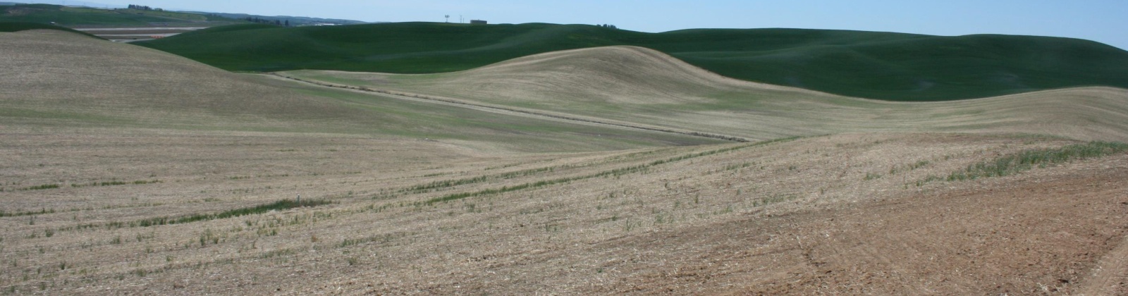 Golden Wheat lane, Pullman, Washington 99163, ,Houses,For Sale,Golden Wheat lane,284551