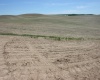 Golden Wheat lane, Pullman, Washington 99163, ,Houses,For Sale,Golden Wheat lane,284551