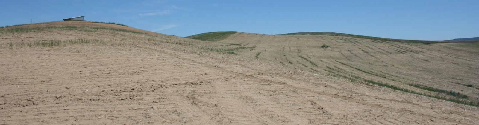 Golden Wheat lane, Pullman, Washington 99163, ,Houses,For Sale,Golden Wheat lane,284551