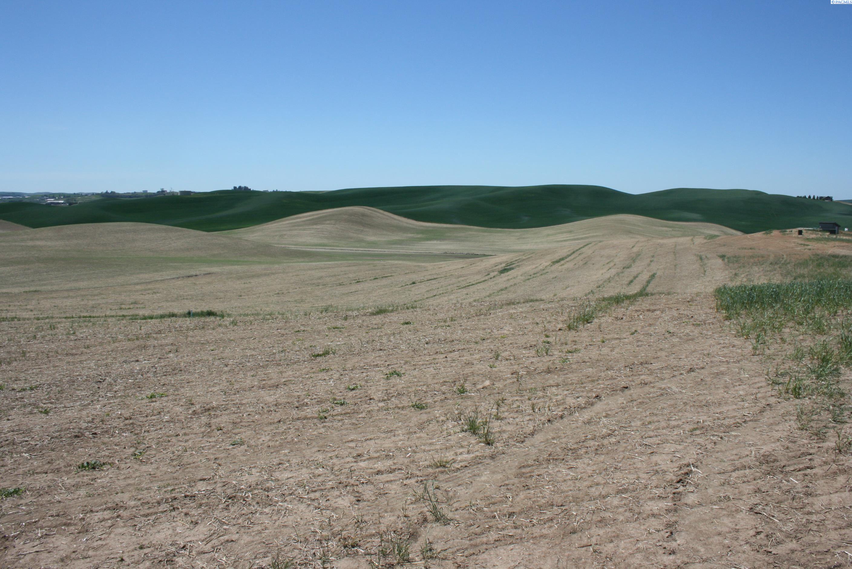Golden Wheat Lane, Pullman, Washington 99163-9704, 0 , 0 ,0,Land/lots,For Sale,Golden Wheat Lane,0,284552