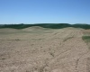 Golden Wheat Lane, Pullman, Washington 99163-9704, ,Houses,For Sale,Golden Wheat Lane,284552