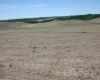 Golden Wheat Lane, Pullman, Washington 99163-9704, ,Houses,For Sale,Golden Wheat Lane,284552