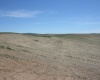 Golden Wheat Lane, Pullman, Washington 99163-9704, ,Houses,For Sale,Golden Wheat Lane,284552