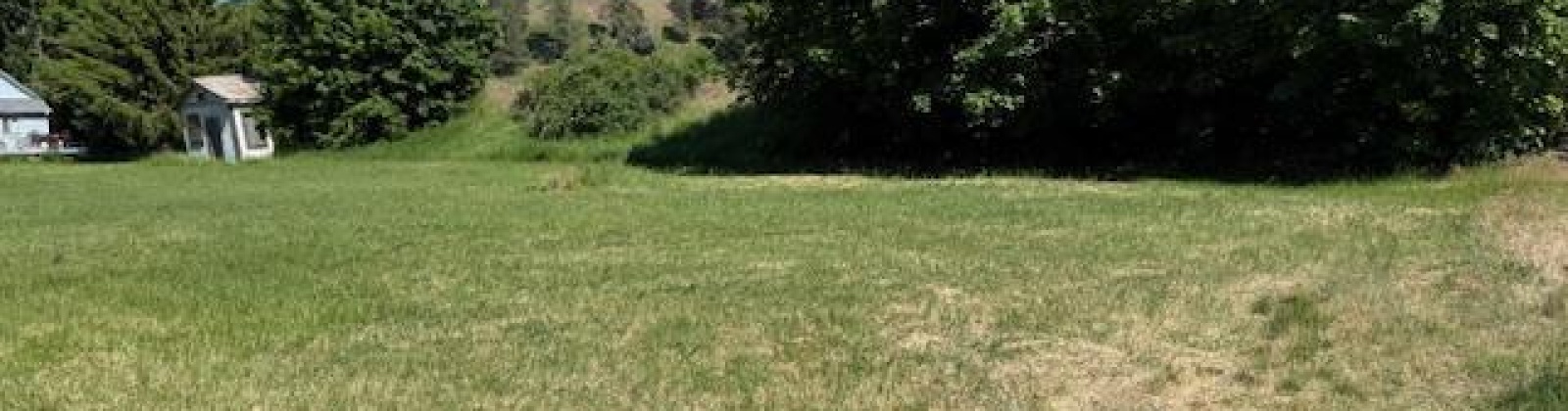 Riverside Lane, Colfax, Washington 99111, ,Houses,For Sale,Riverside Lane,284556