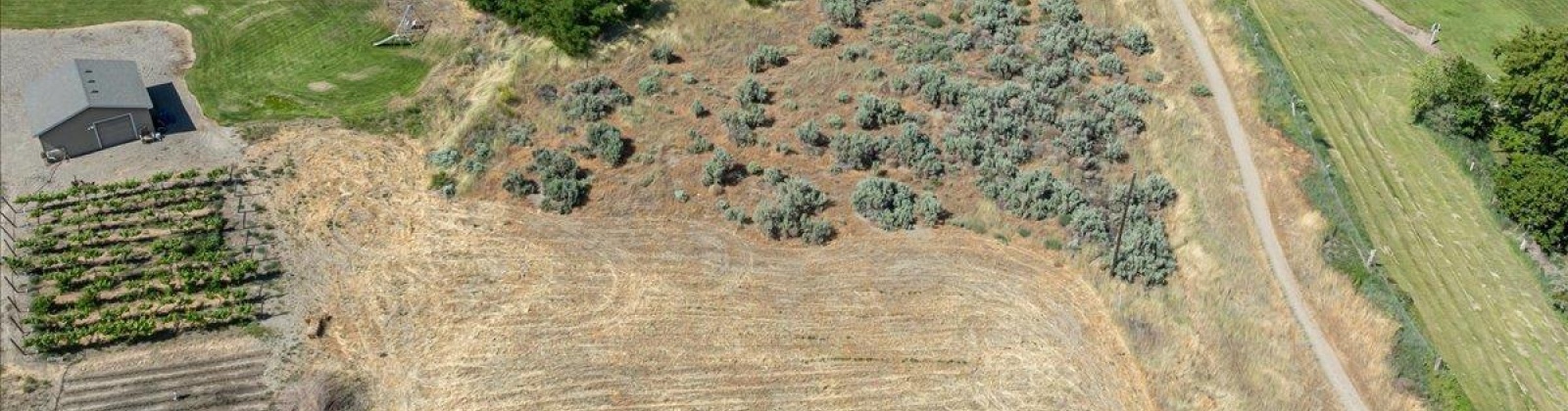 Lot 3 Block 7 Legion Heights #2, Benton City, Washington 99320, ,Houses,For Sale,Lot 3 Block 7 Legion Heights #2,284583