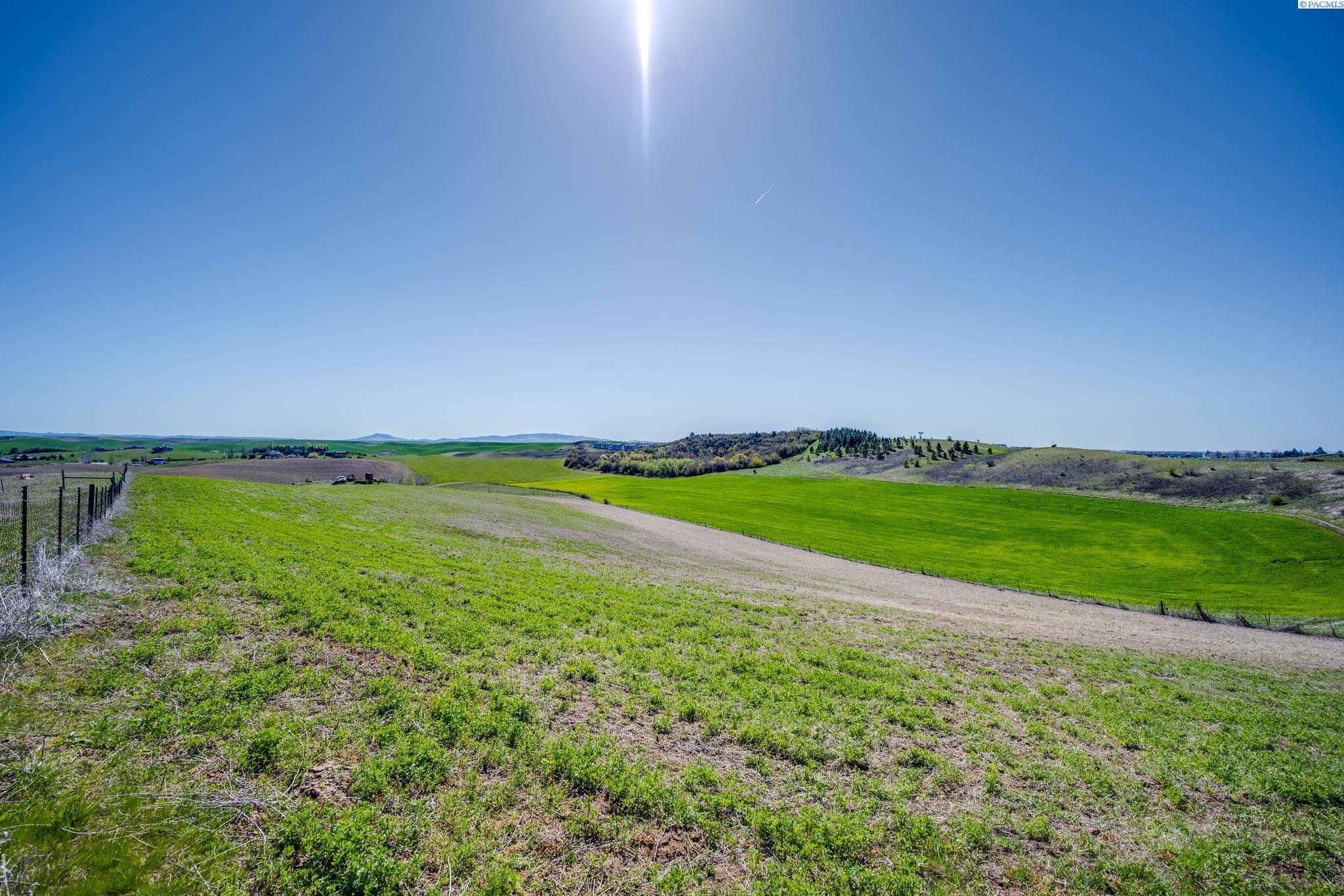 Kitzmiller Rd, Pullman, Washington 99163, 0 , 0 ,0,Land/lots,For Sale,Kitzmiller Rd,0,284730
