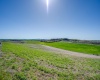 Kitzmiller Rd, Pullman, Washington 99163, ,Houses,For Sale,Kitzmiller Rd,284730