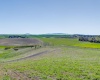 Kitzmiller Rd, Pullman, Washington 99163, ,Houses,For Sale,Kitzmiller Rd,284730