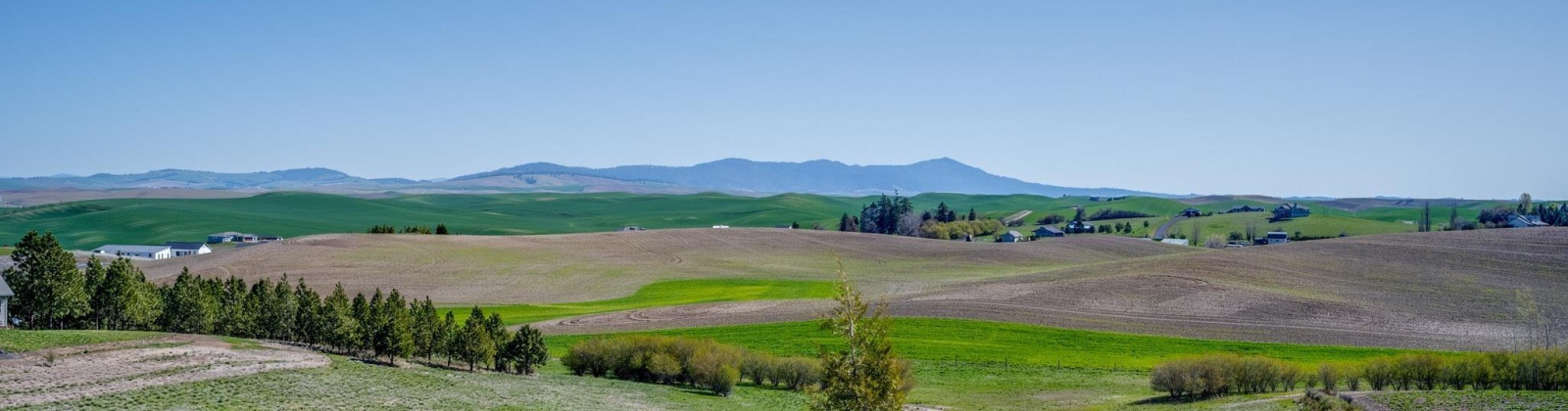 Kitzmiller Rd, Pullman, Washington 99163, ,Houses,For Sale,Kitzmiller Rd,284730