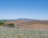Kitzmiller Rd, Pullman, Washington 99163, ,Houses,For Sale,Kitzmiller Rd,284730