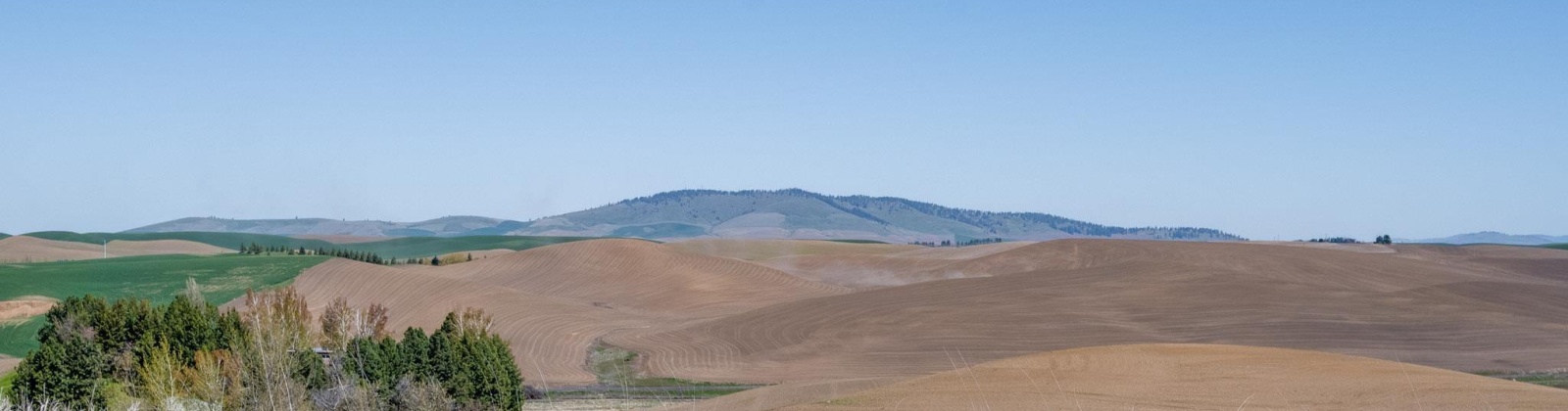 Kitzmiller Rd, Pullman, Washington 99163, ,Houses,For Sale,Kitzmiller Rd,284730