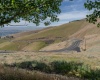Windy Ridge Lane, Lewiston, Washington 83501, 3 Bedrooms Bedrooms, ,3 BathroomsBathrooms,For Sale,Windy Ridge Lane,284656