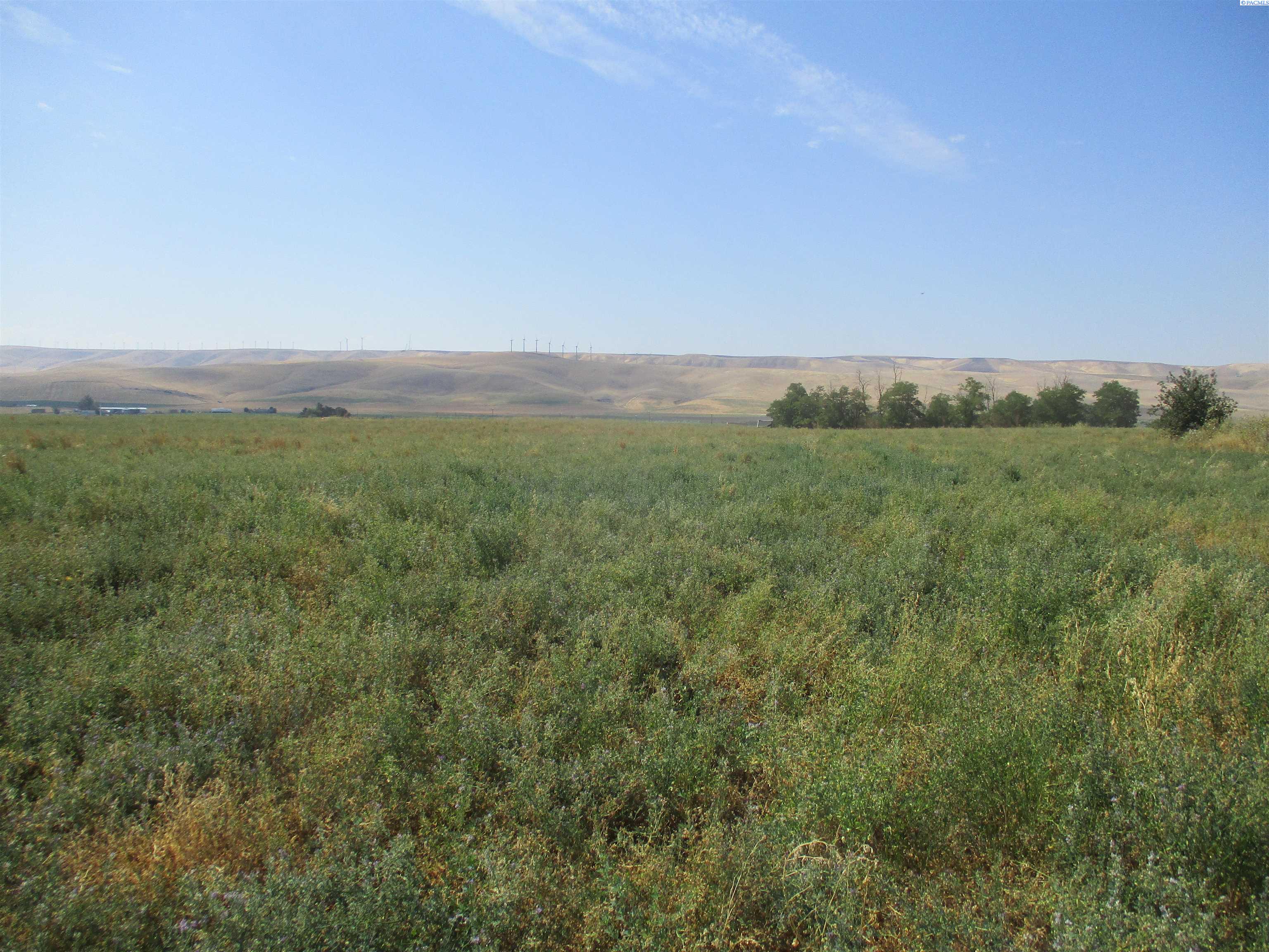 Thurber, Touchet, Washington 99360, 0 , 0 ,0,Land/lots,For Sale,Thurber,0,264525