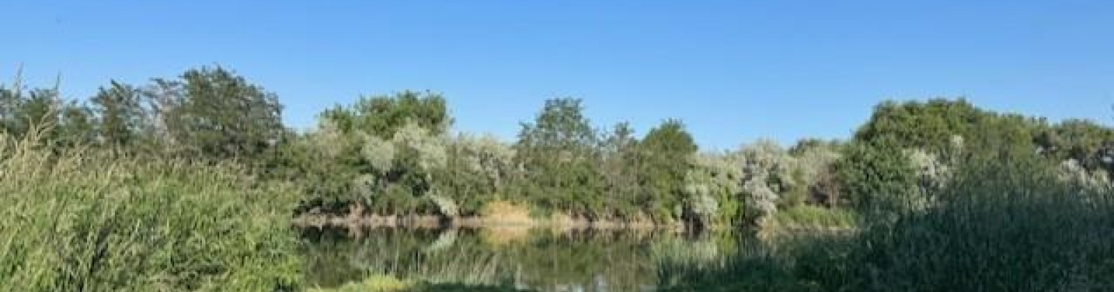 Grover PR NE, West Richland, Washington 99353, 4 Bedrooms Bedrooms, ,3 BathroomsBathrooms,For Sale,Grover PR NE,284795