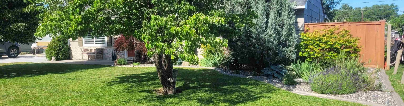 Cedar Ave, Richland, Washington 99352, 3 Bedrooms Bedrooms, ,2 BathroomsBathrooms,For Sale,Cedar Ave,284817