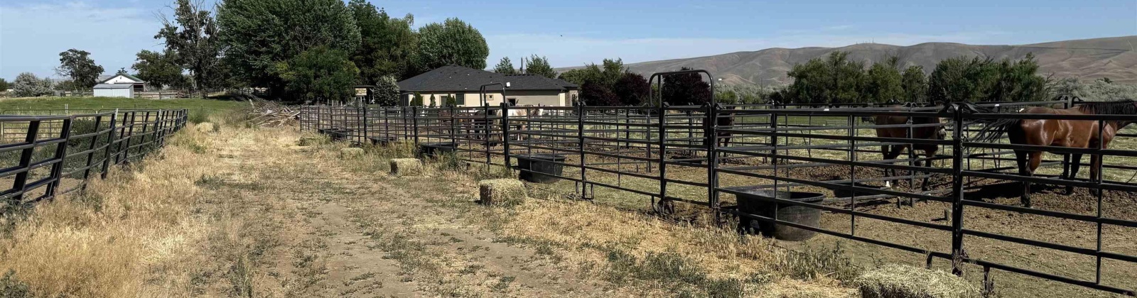 JOHNSON RD, Prosser, Washington 99350, 3 Bedrooms Bedrooms, 0 ,2 BathroomsBathrooms,Houses,For Sale,JOHNSON RD,0,284825