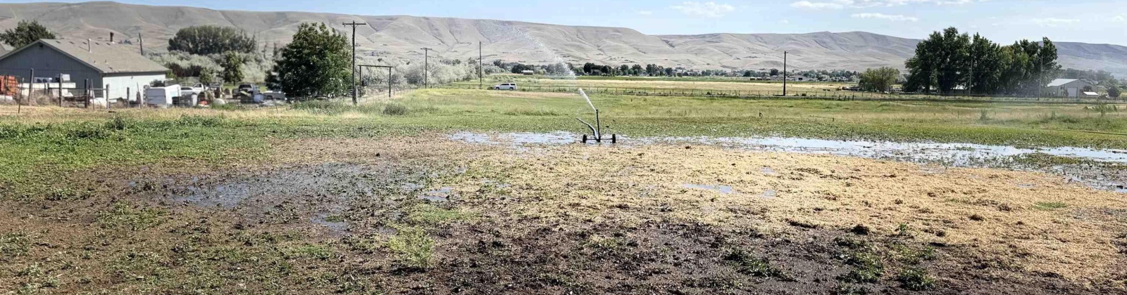 JOHNSON RD, Prosser, Washington 99350, 3 Bedrooms Bedrooms, 0 ,2 BathroomsBathrooms,Houses,For Sale,JOHNSON RD,0,284825