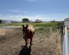 JOHNSON RD, Prosser, Washington 99350, 3 Bedrooms Bedrooms, 0 ,2 BathroomsBathrooms,Houses,For Sale,JOHNSON RD,0,284825