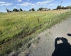 JOHNSON RD, Prosser, Washington 99350, 3 Bedrooms Bedrooms, 0 ,2 BathroomsBathrooms,Houses,For Sale,JOHNSON RD,0,284825