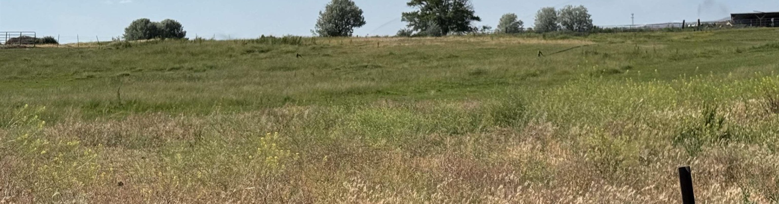 JOHNSON RD, Prosser, Washington 99350, 3 Bedrooms Bedrooms, 0 ,2 BathroomsBathrooms,Houses,For Sale,JOHNSON RD,0,284825