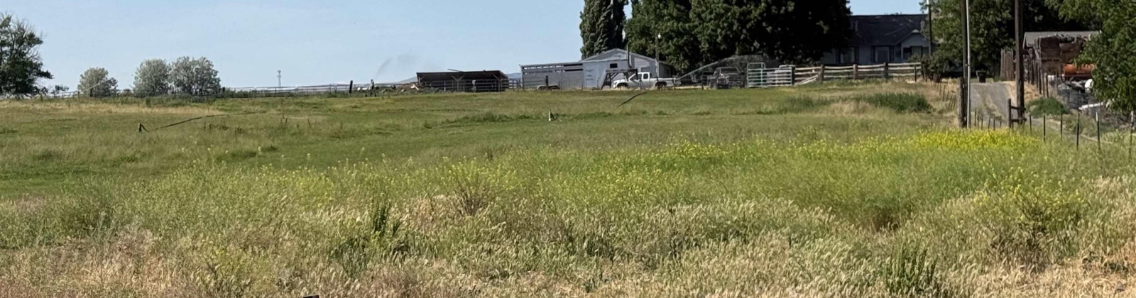 JOHNSON RD, Prosser, Washington 99350, 3 Bedrooms Bedrooms, 0 ,2 BathroomsBathrooms,Houses,For Sale,JOHNSON RD,0,284825
