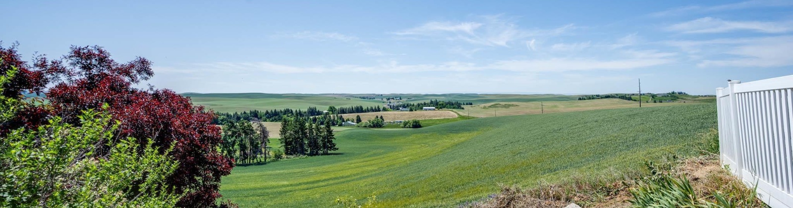 Meyer, Pullman, Washington 99163, 6 Bedrooms Bedrooms, ,4 BathroomsBathrooms,Site Built-owned Lot,For Sale,Meyer,284829