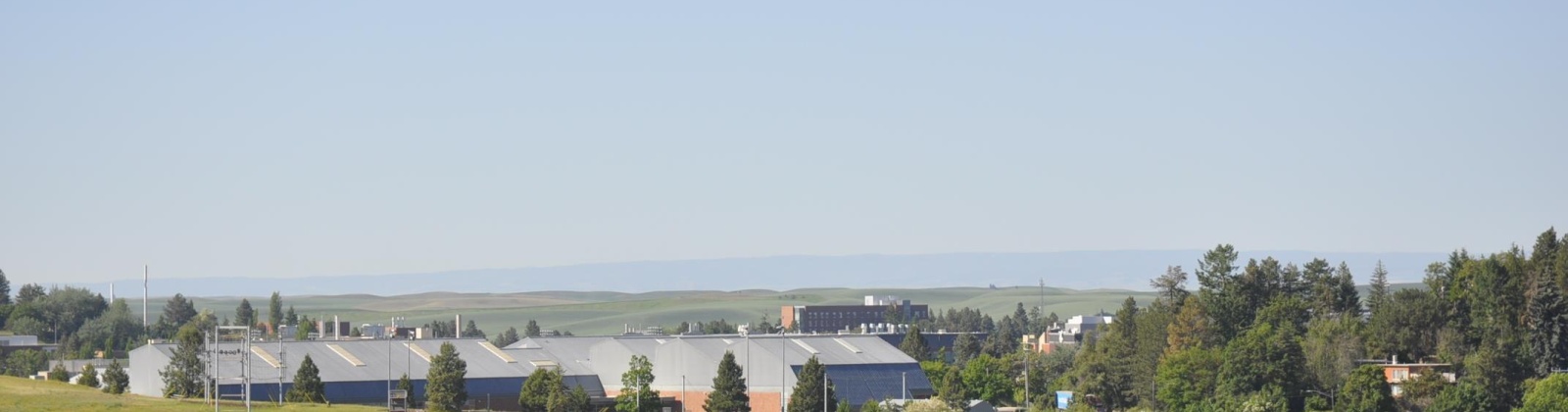 MERMAN DR. #C-302, Pullman, Washington 99163, 2 Bedrooms Bedrooms, ,1 BathroomBathrooms,Condo,For Sale,MERMAN DR. #C-302,284856