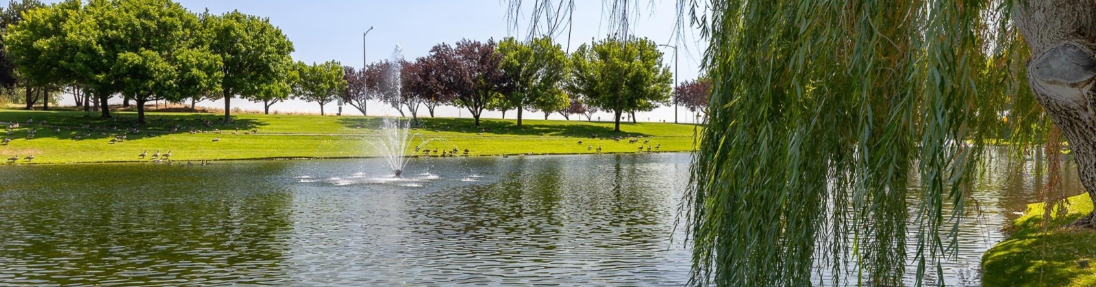 Eaglewatch Loop, Richland, Washington 99354, 3 Bedrooms Bedrooms, ,2 BathroomsBathrooms,Site Built-owned Lot,For Sale,Eaglewatch Loop,284882