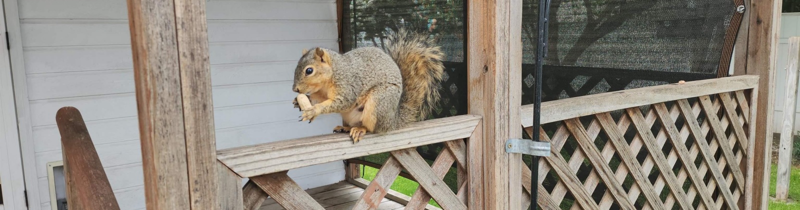 Park St, Dayton, Washington 99328, 2 Bedrooms Bedrooms, 0 ,2 BathroomsBathrooms,Houses,For Sale,Park St,0,284420