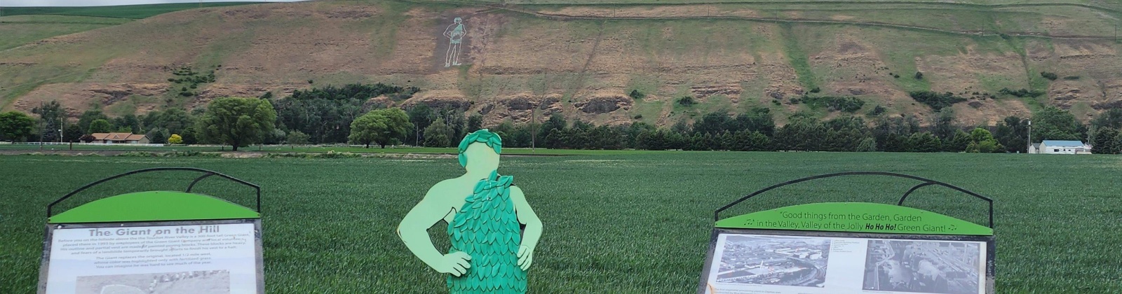 Park St, Dayton, Washington 99328, 2 Bedrooms Bedrooms, 0 ,2 BathroomsBathrooms,Houses,For Sale,Park St,0,284420