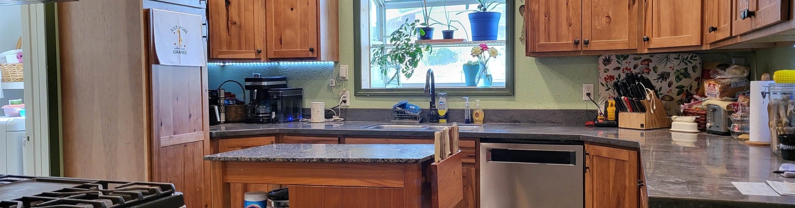 2nd Street, Diamond, Washington 99111, 2 Bedrooms Bedrooms, ,1 BathroomBathrooms,For Sale,2nd Street,284915