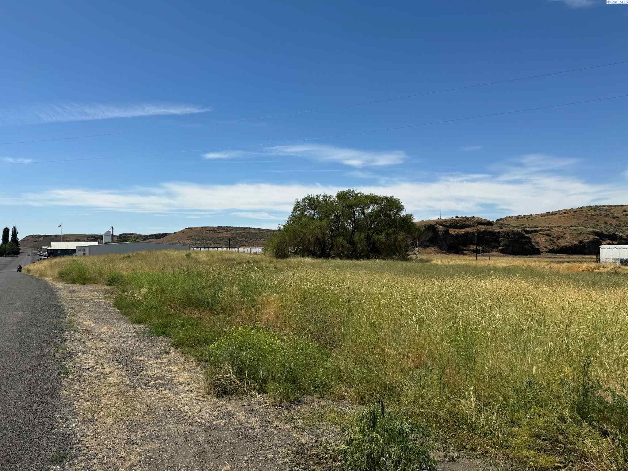 1st & Manton Way, Mesa, Washington 99343, 0 , 0 ,0,Agricultural Land,For Sale,1st & Manton Way,0,284974