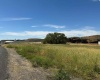 1st & Manton Way, Mesa, Washington 99343, ,Agricultural,For Sale,1st & Manton Way,284974