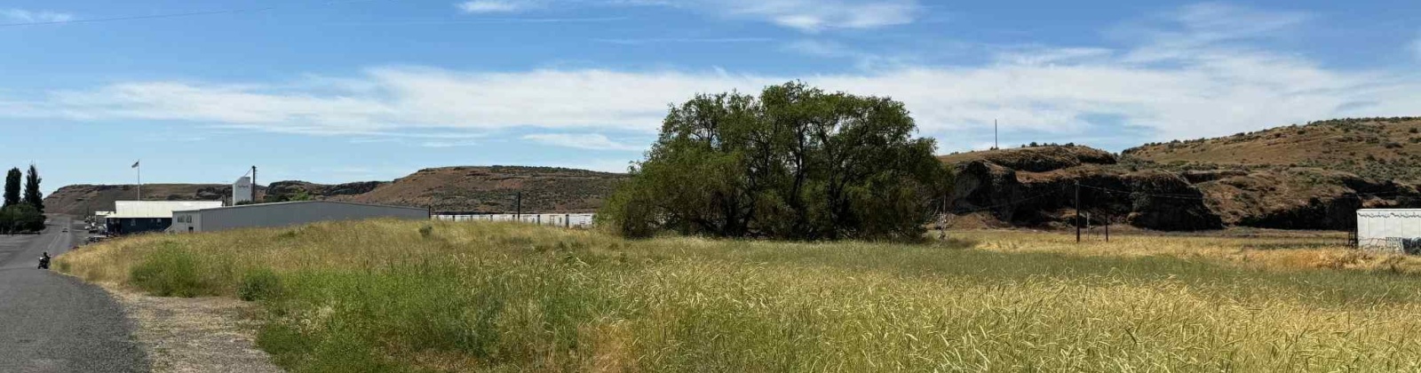 1st & Manton Way, Mesa, Washington 99343, ,Agricultural,For Sale,1st & Manton Way,284974