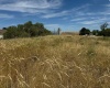 1st & Manton Way, Mesa, Washington 99343, ,Agricultural,For Sale,1st & Manton Way,284974