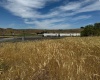 1st & Manton Way, Mesa, Washington 99343, ,Agricultural,For Sale,1st & Manton Way,284974