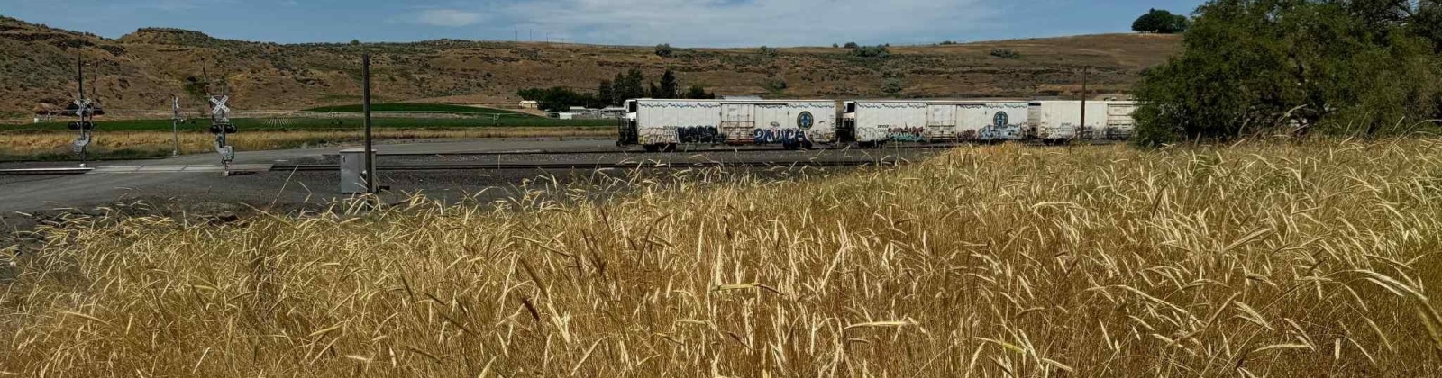 1st & Manton Way, Mesa, Washington 99343, ,Agricultural,For Sale,1st & Manton Way,284974
