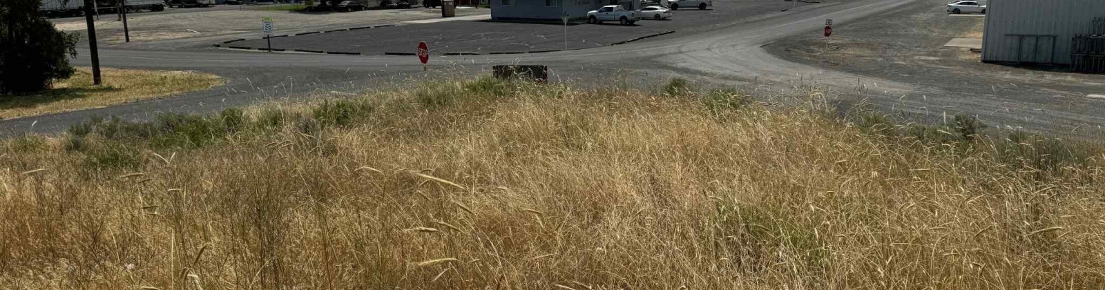 1st & Manton Way, Mesa, Washington 99343, ,Agricultural,For Sale,1st & Manton Way,284974